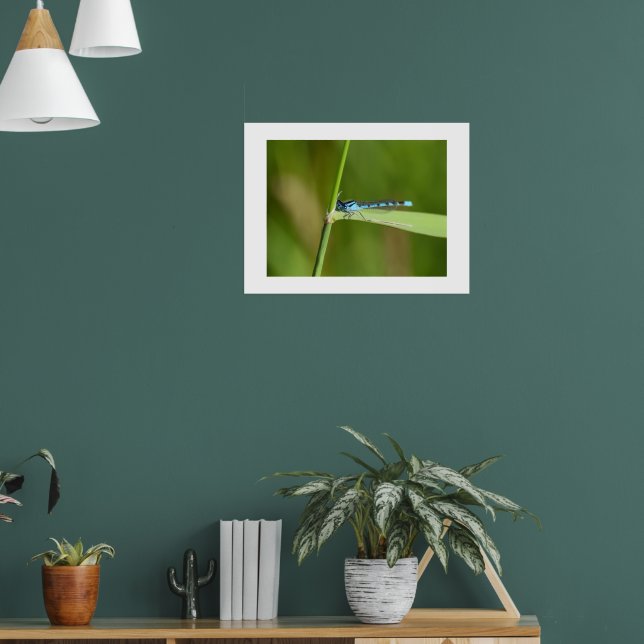 Jungfrudjur  poster (Vardagsrum 1)