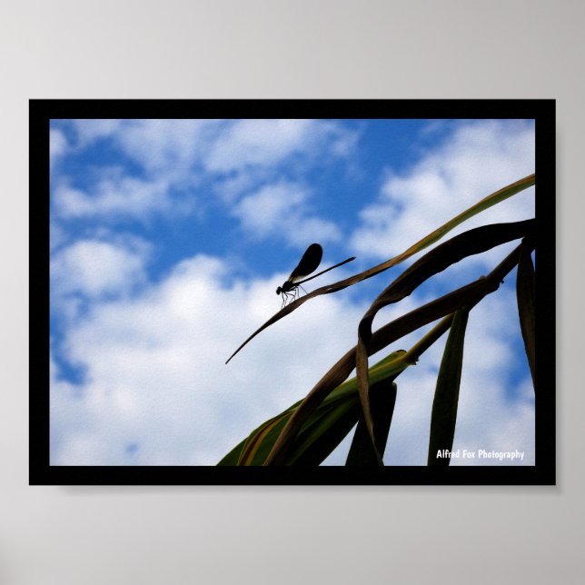 Jungfrujungfru i blå himmel poster (Framsidan)
