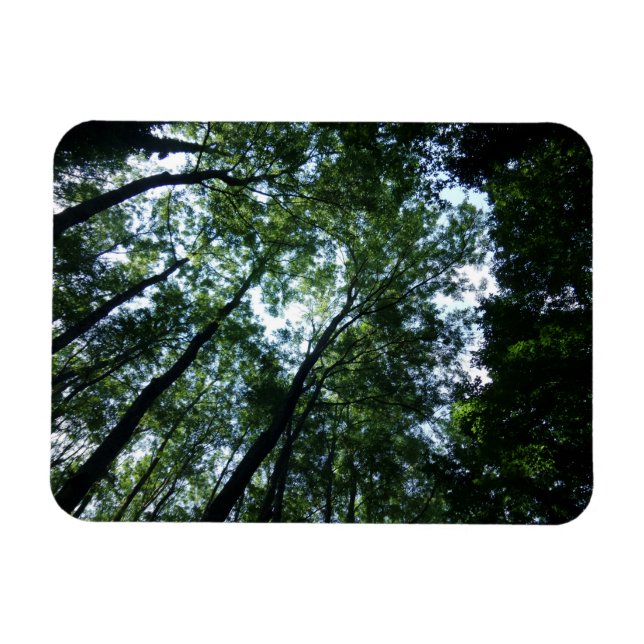 Jungle 3"x4" Magnet (Horisontell)