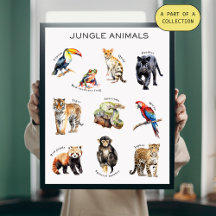 Jungle Animals Education Poster