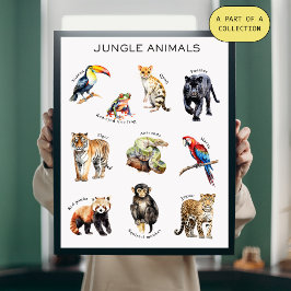 Jungle Animals Education Poster Perfect Poster
