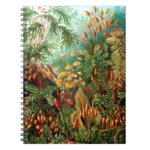 Jungle Anteckningsbok