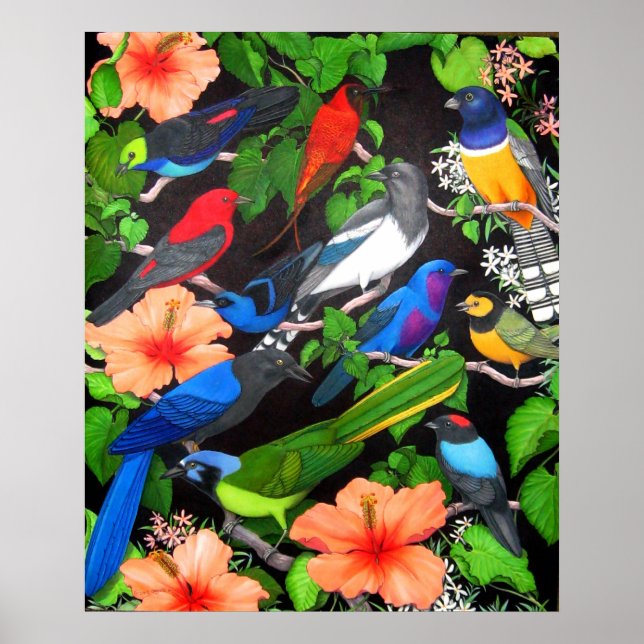Jungle Birds of Mexico Poster (Framsidan)