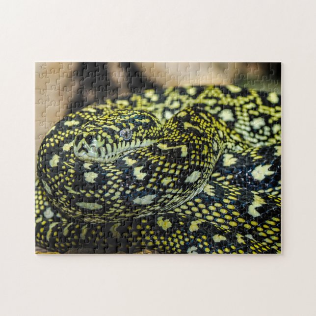 Jungle Carpet Python Snake Pussel (Horisontell)