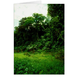 Jungle / Crokodile Alley Hälsningskort