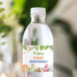 Jungle Dinosaur Boy Birthday Vattenflaska Label Vattenflaskor Etikett