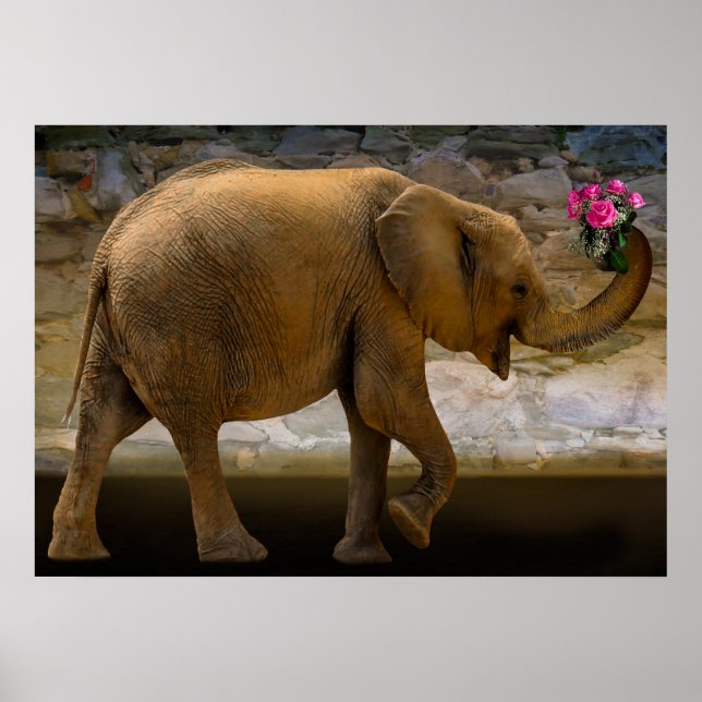 Jungle Elephant Holding Flowers Poster (Framsidan)