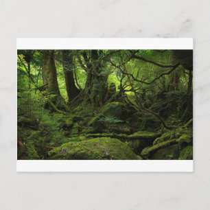 Jungle Forest of Moss Vykort