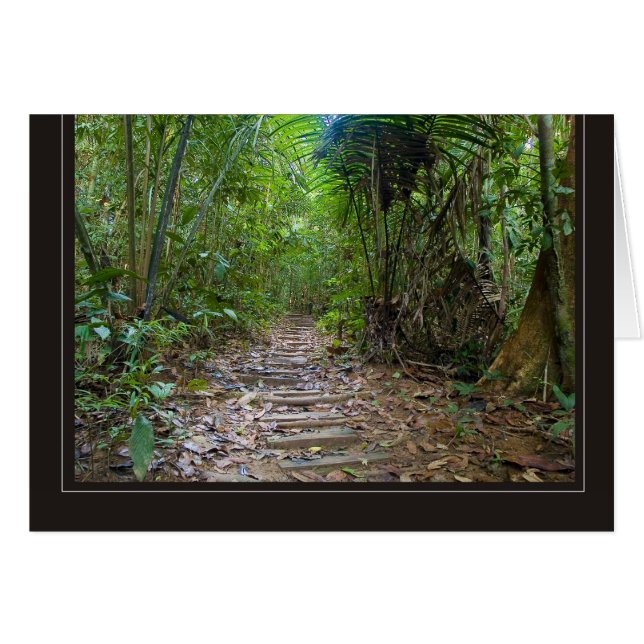 jungle hälsningskort (Framsidan Horizontal)