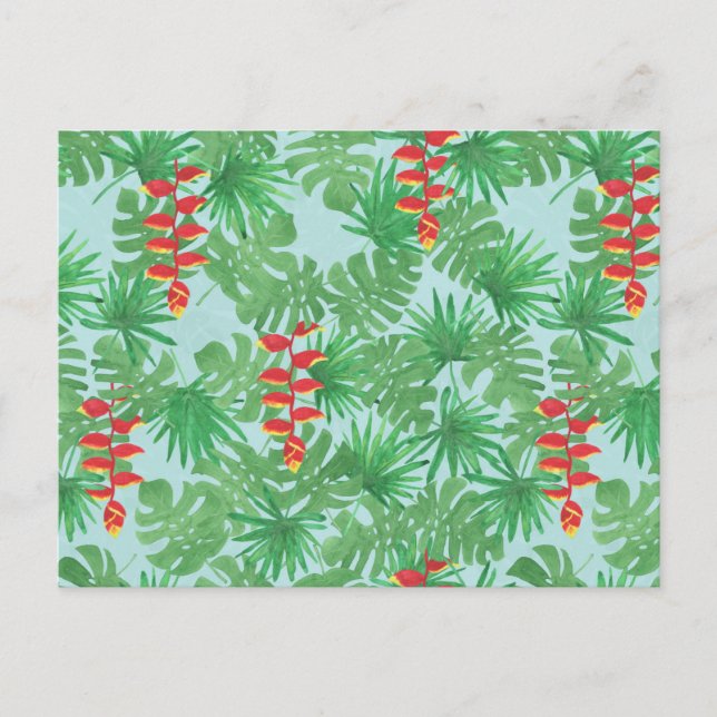 Jungle Himlar Vykort (Framsida)