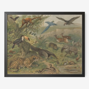 Jungle Jaguar och Animal Friends Poster