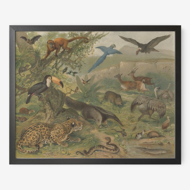 Jungle Jaguar och Animal Friends Poster (Skapare uppladdad)