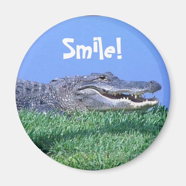 Jungle Jewels Magnet (Framsidan)