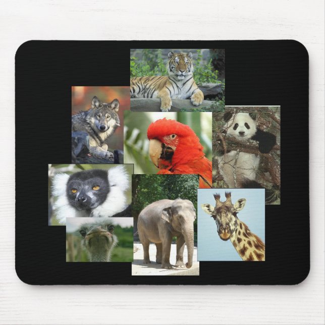 Jungle Jewels Mousepad Musmatta (Framsidan)