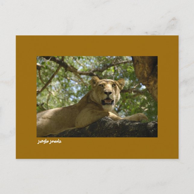 Jungle Jewels vycard Vykort (Framsida)
