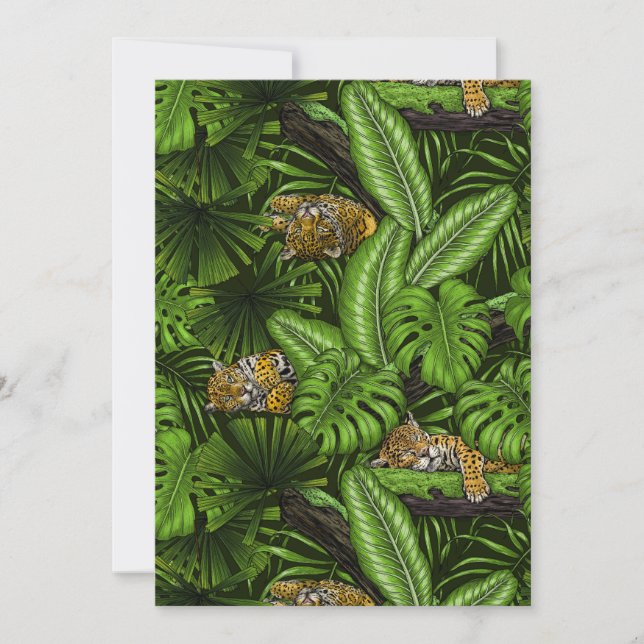 Jungle kattunge (Framsida)