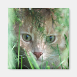 Jungle Legend Magnet