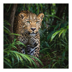 Jungle Leopard Fototryck