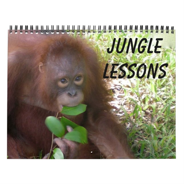 Jungle Lessons Kalender (Omslag)