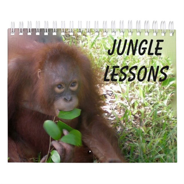 Jungle Lessons kalender för vilda djur (Omslag)
