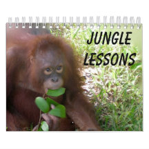 Jungle Lessons kalender för vilda djur