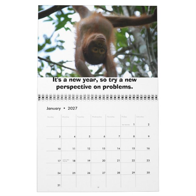 Jungle Lessons-kalender för vilda djur Kalender (Jan 2027)