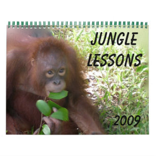 Jungle Lessons Vild Djurkalender Kalender