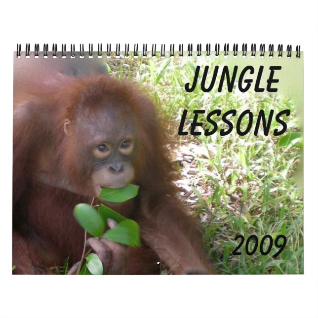 Jungle Lessons Vild Djurkalender Kalender (Omslag)