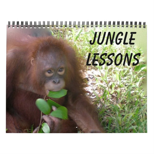 Jungle Lessons Vild Djurkalender Kalender (Omslag)