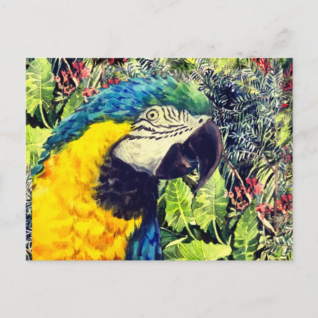 Jungle och blå gult macaw helg vykort (Framsida)