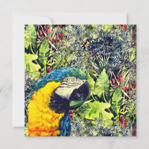 Jungle och blå gult macaw julkort