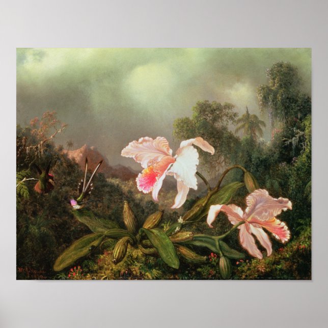 Jungle orchids and hummingbird, 1872 poster (Framsidan)