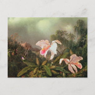Jungle orchids and hummingbird, 1872 vykort