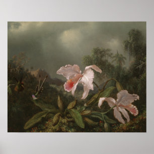 Jungle Orchids och Hummingbird Poster