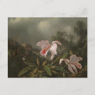 Jungle Orchids och Hummingbird Vykort