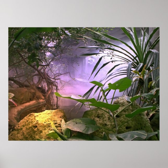 Jungle Poster (Framsidan)