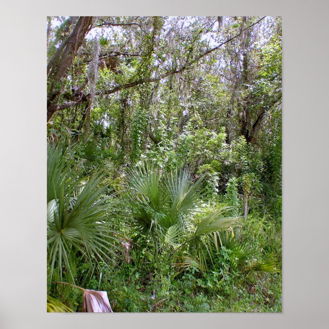 Jungle Poster (Framsidan)