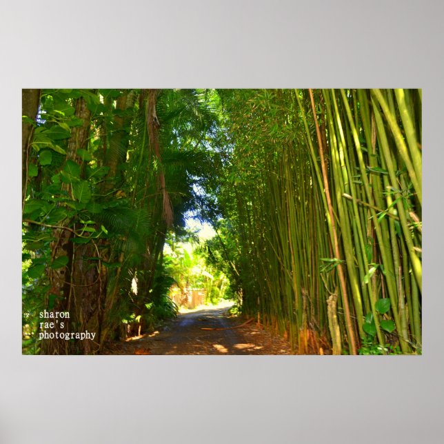 Jungle Poster (Framsidan)