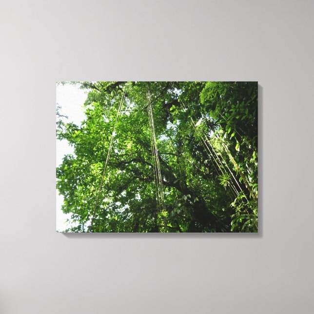 Jungle Ropes Rainforest Photography Canvastryck (Framsida)