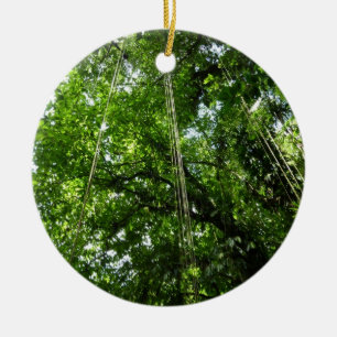 Jungle Ropes Rainforest Photography Julgransprydnad Keramik