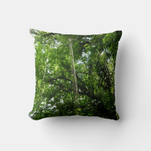 Jungle Ropes Rainforest Photography Kudde