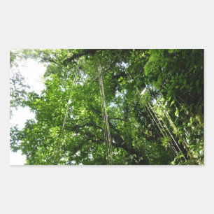 Jungle Ropes Rainforest Photography Rektangulärt Klistermärke