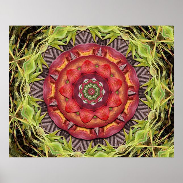 Jungle Shield Poster (Framsidan)