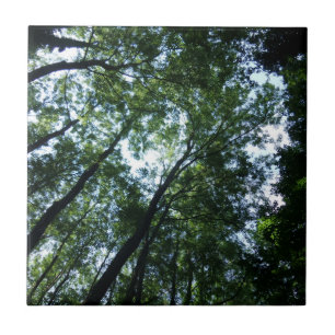 Jungle Small (4,25 x 4,25 tum) - keramiskt foto Ti Kakelplatta
