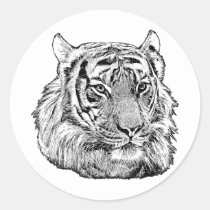 Jungle Tiger Ansikte safari (ursprungliga djur) Runt Klistermärke