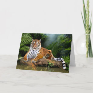 JUNGLE TIGER KORT