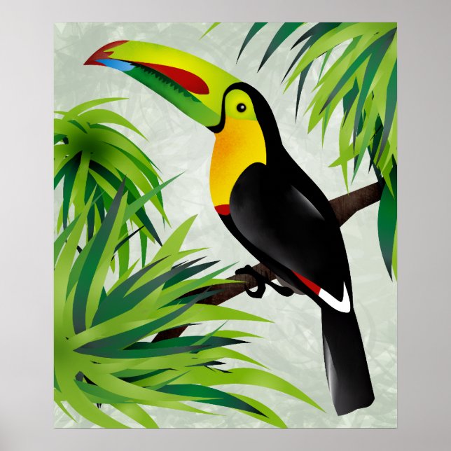 Jungle Toucan Poster (Framsidan)