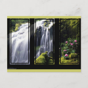 Jungle Waterfall Triptych Digital Art-vykort Vykort
