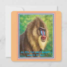 Jungle Whispers of Encouragement Series Flat Card