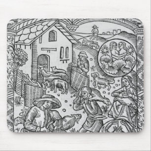 Juni får som klipper, Gemini Musmatta